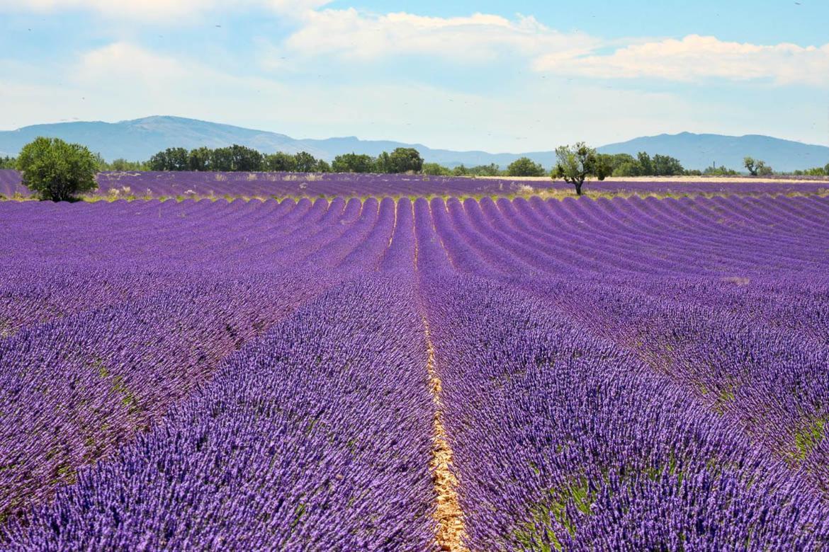 Gîte ou chambre d'hôte dans la campagne de Rognes Exterior foto